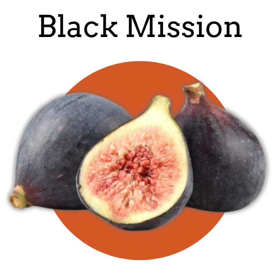 Black Mission Figs